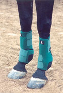 Horse Boots - saddleupcolorado