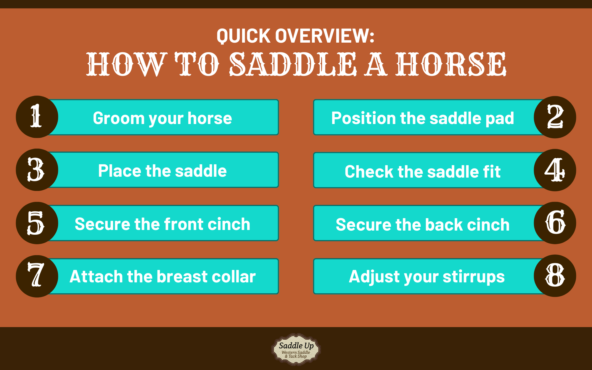 infographic showing the 8 steps you need to saddle a horse at home