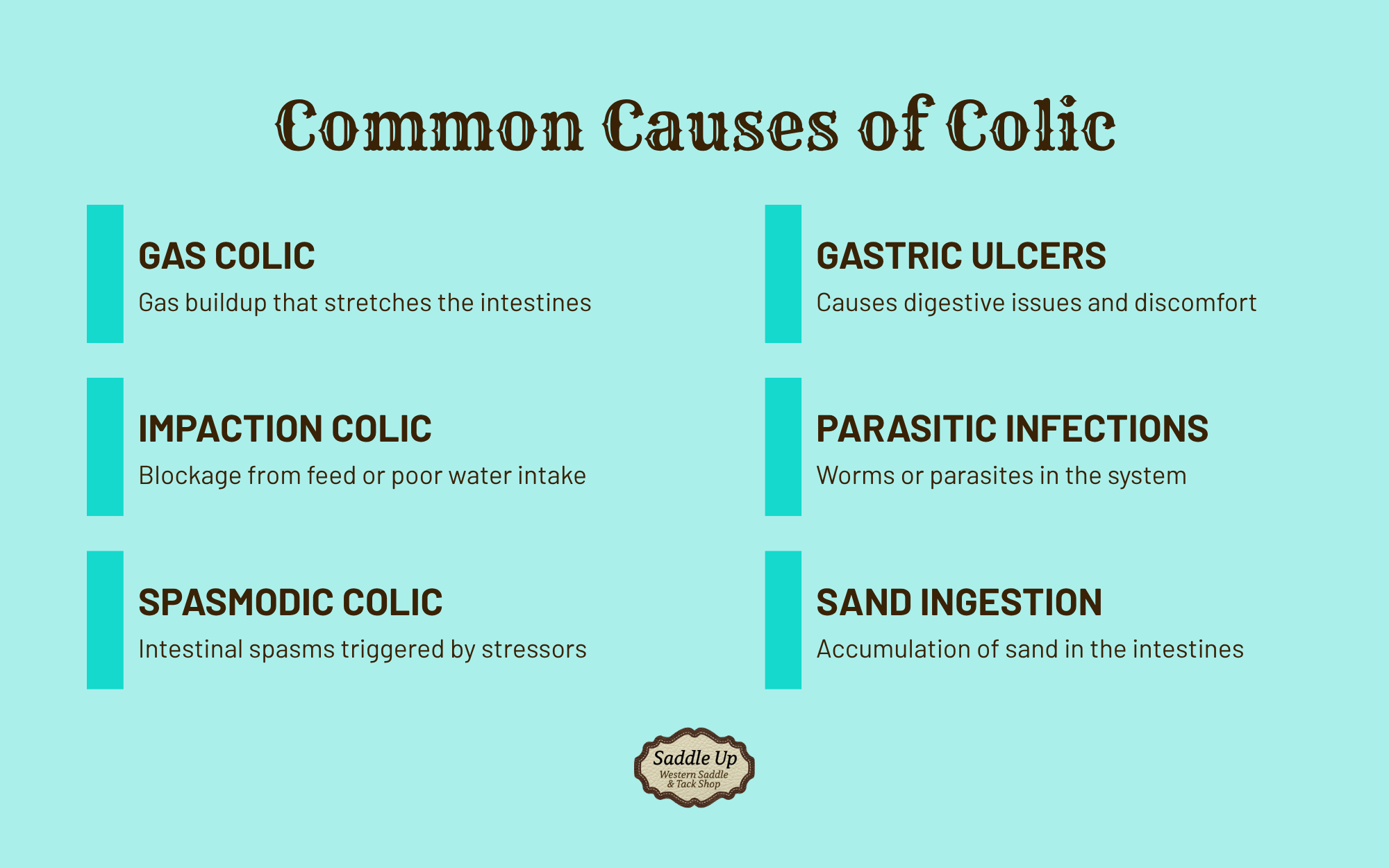 infographic about common causes of horse colic