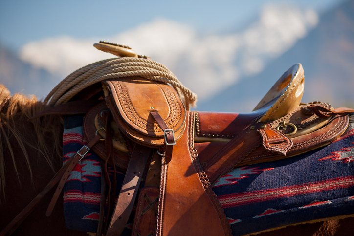 Close-Up Of Horse Saddle stock photo