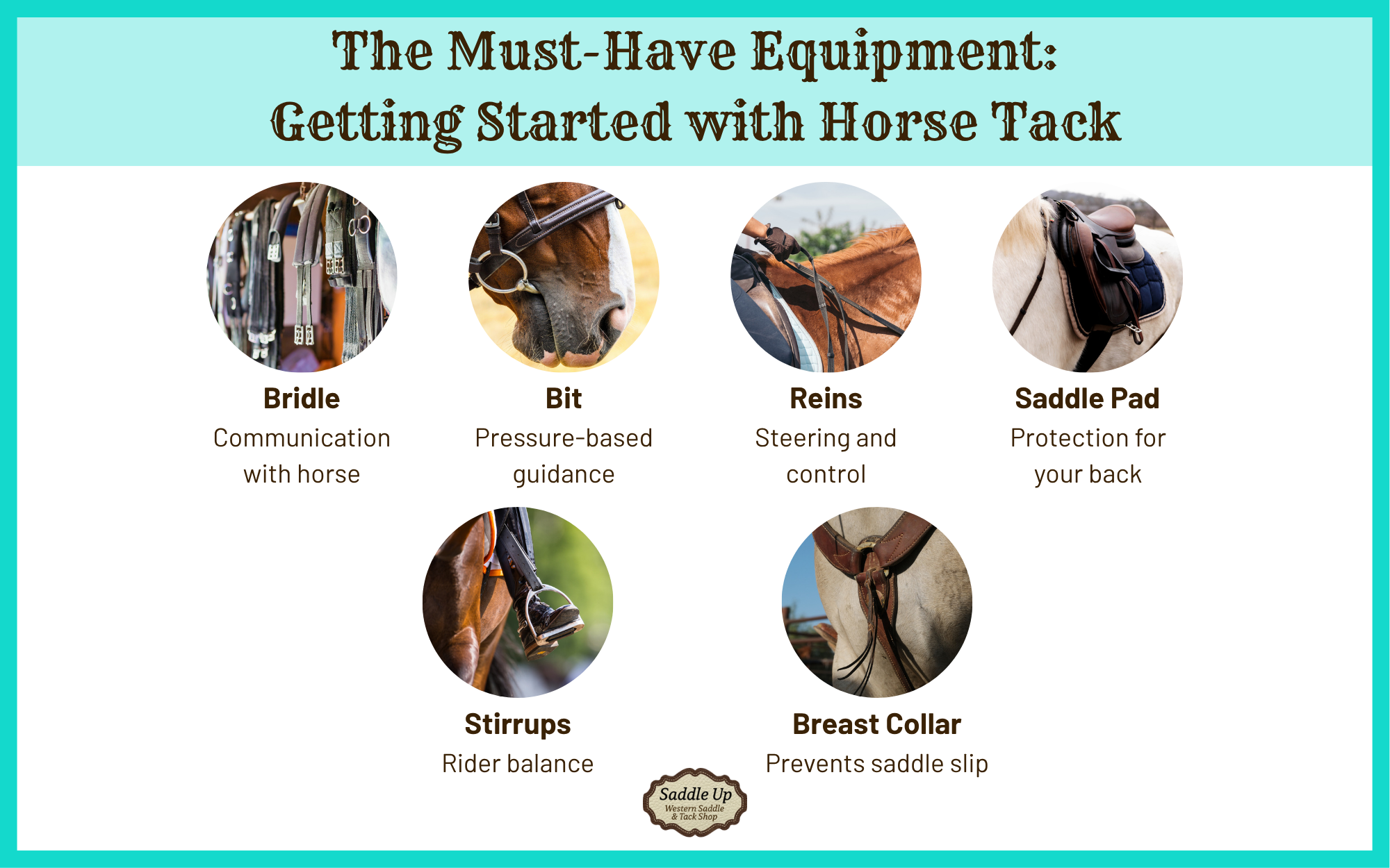 The Must-Have Equipment: Getting Started with Horse Tack