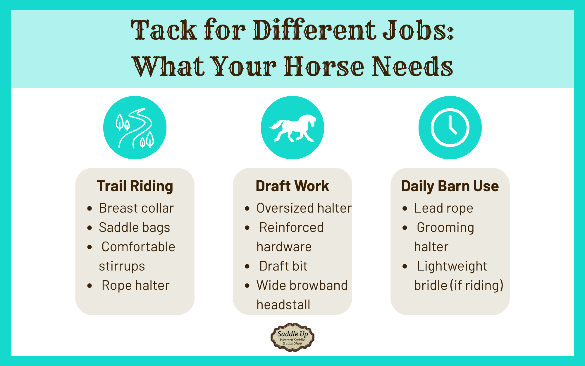 Tack for Different Jobs: What Your Horse Needs