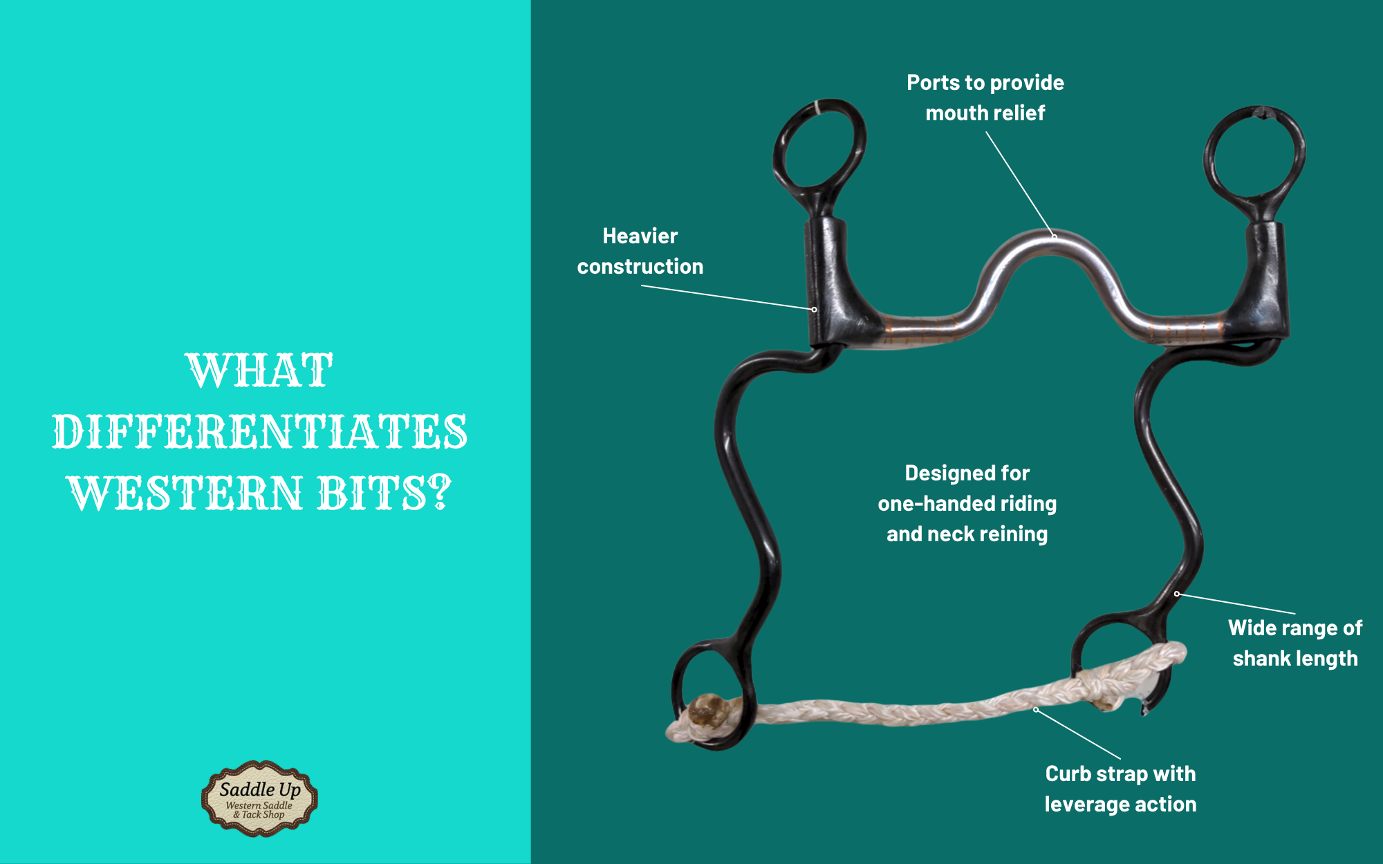 infographic showing the key distinctions of a western bit